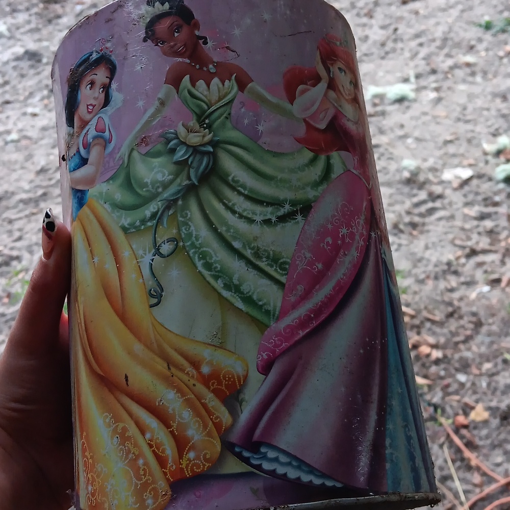 Princess Money bank